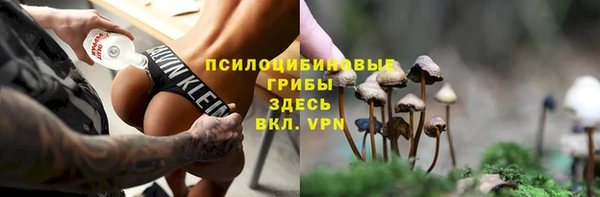 сатива Кукмор