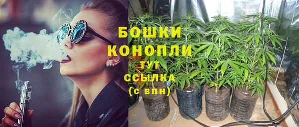 сатива Кукмор