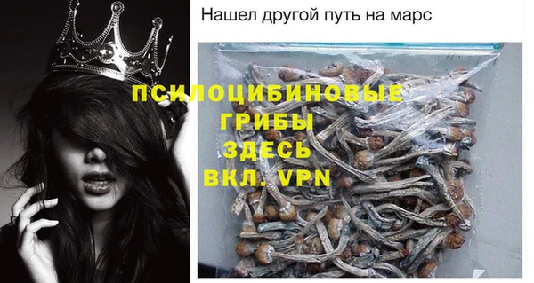 сатива Кукмор