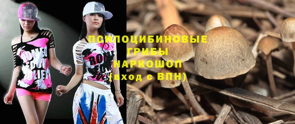 сатива Кукмор